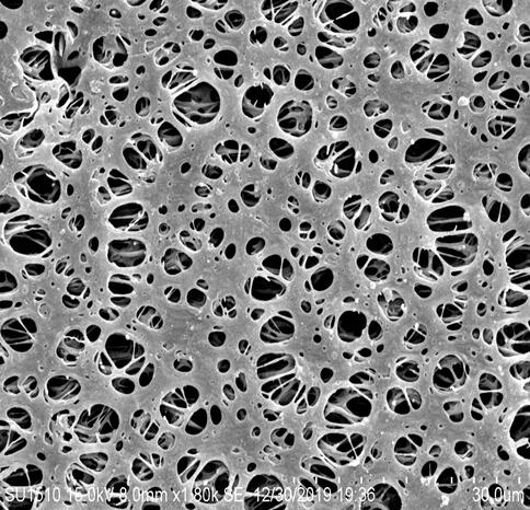 Difference Between PES and PVDF Filter Membrane
